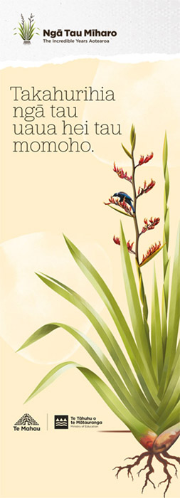 EDU0057 - Te Reo Pullup Banner